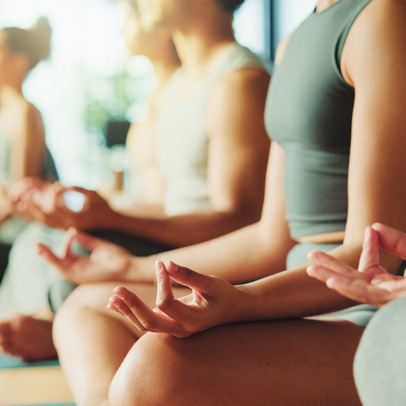 People sitting in lotus pose